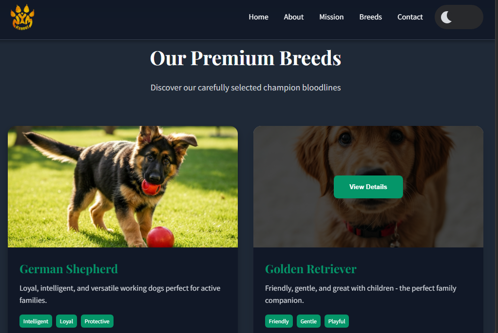 NYM Gym Trainers Page