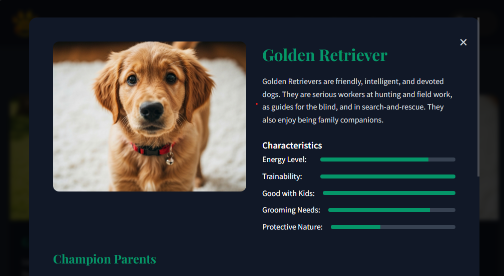 NYM Gym Success Stories